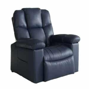 PR504 REGAL LIFT CHAIR FROM GOLDEN TECHNOLOGIES