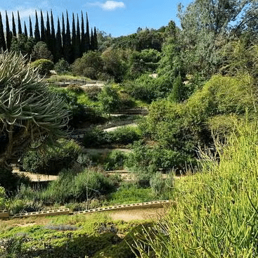 Explore the UCR Botanic Gardens